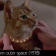 Illustration for article titled Supercats! supercut proves that cats are cinema’s greatest treasures